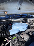 Powder coating/Paint