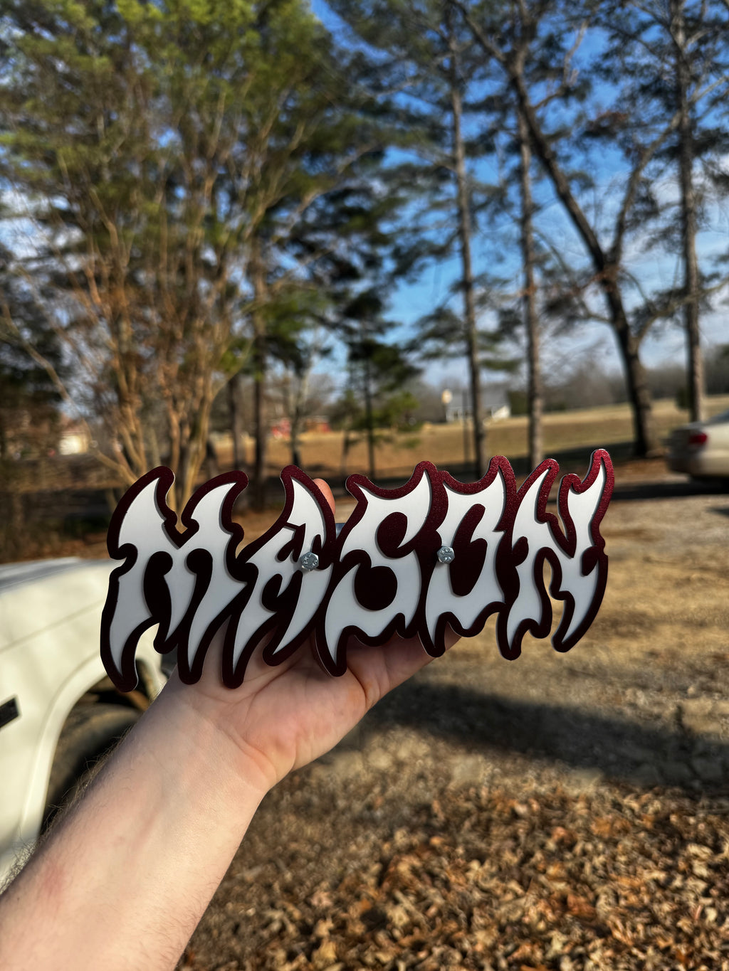 Custom Coil/Strut Plates
