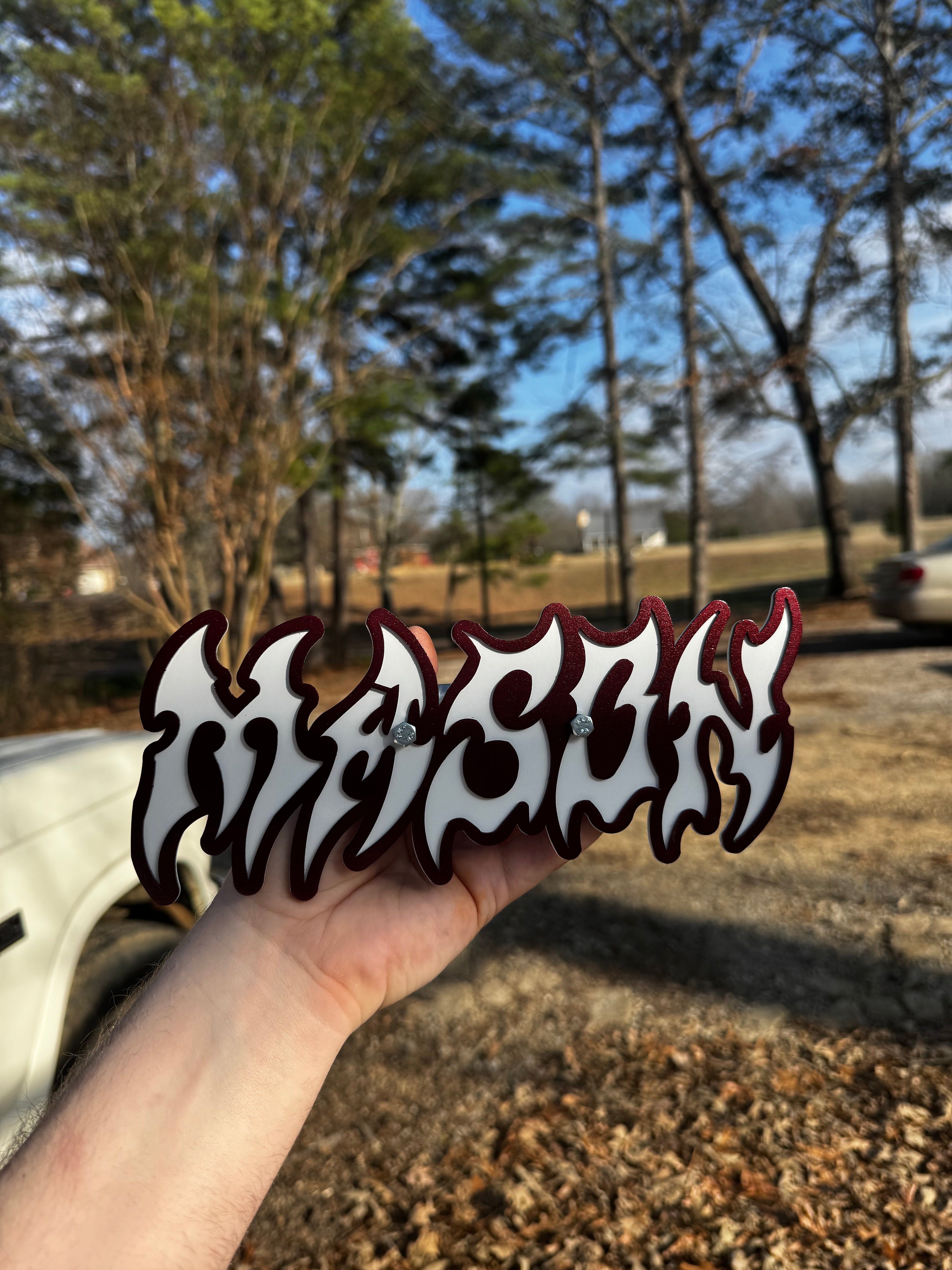 Custom Coil/Strut Plates