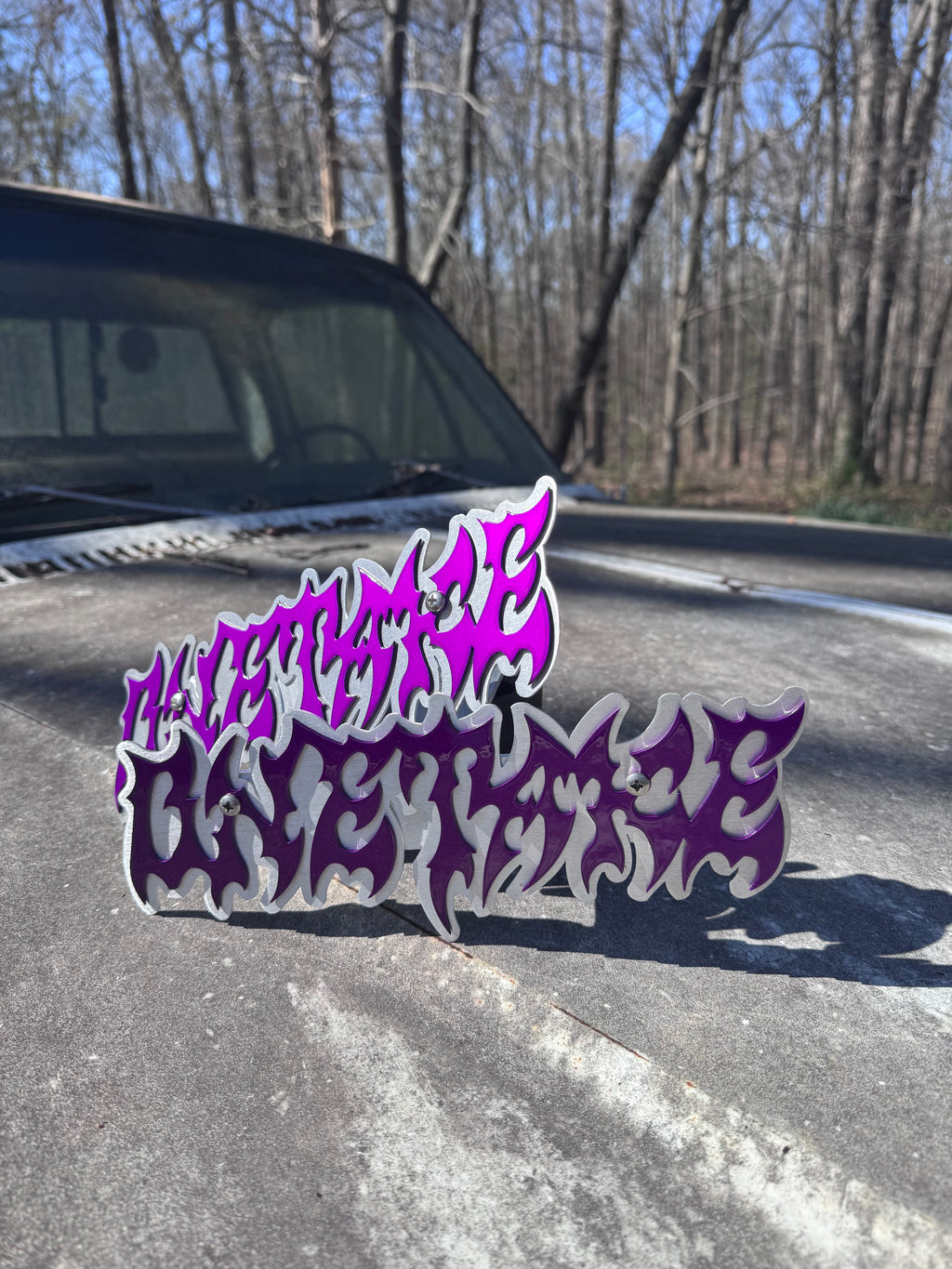 Powder coating/Paint